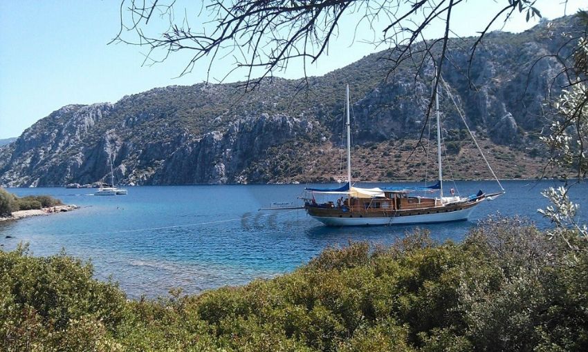 Sempati Dış Görünüm