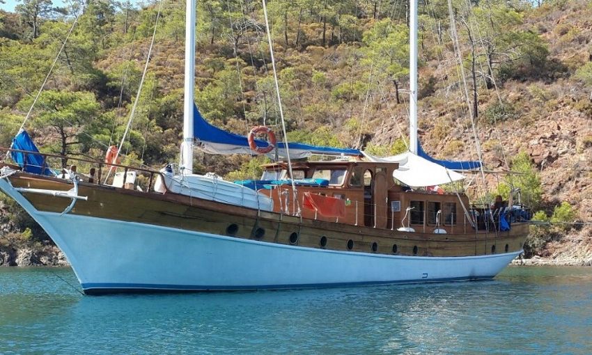 Sempati Dış Görünüm