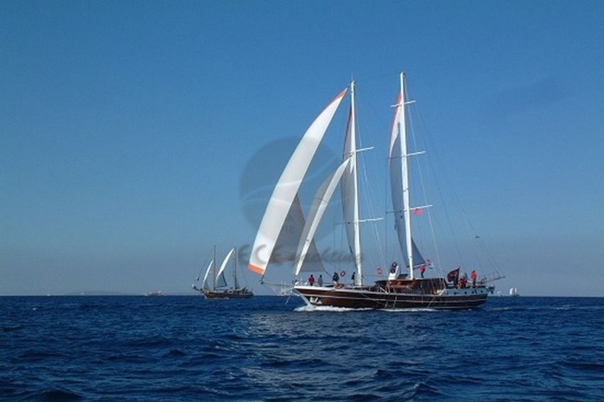 Sıla Star yelken seyrinde.