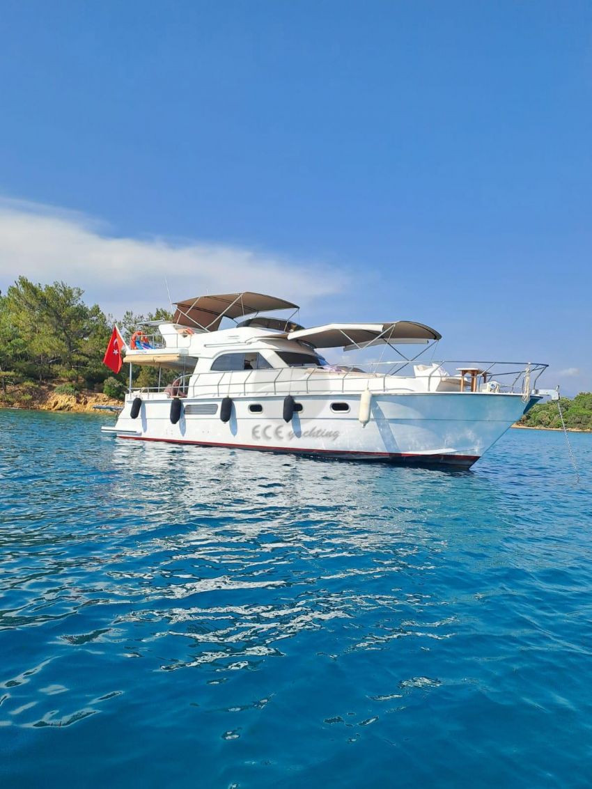 Sim - Ay güneşlenme alanı