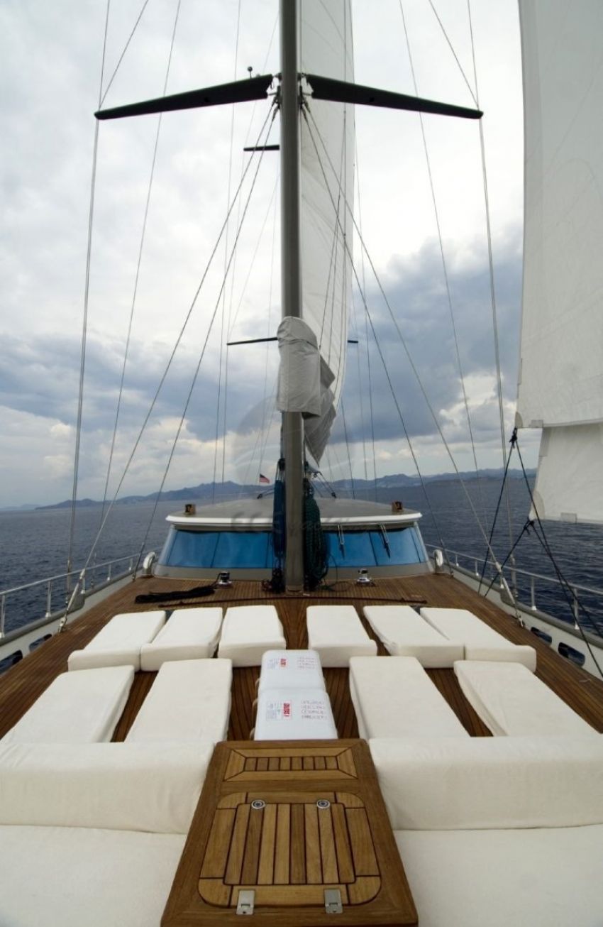 M/S Tiger Ön Güverte