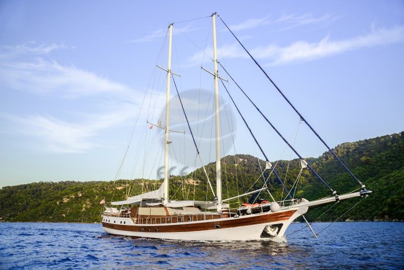 Wicked Felina Yacht, Starboard Front.