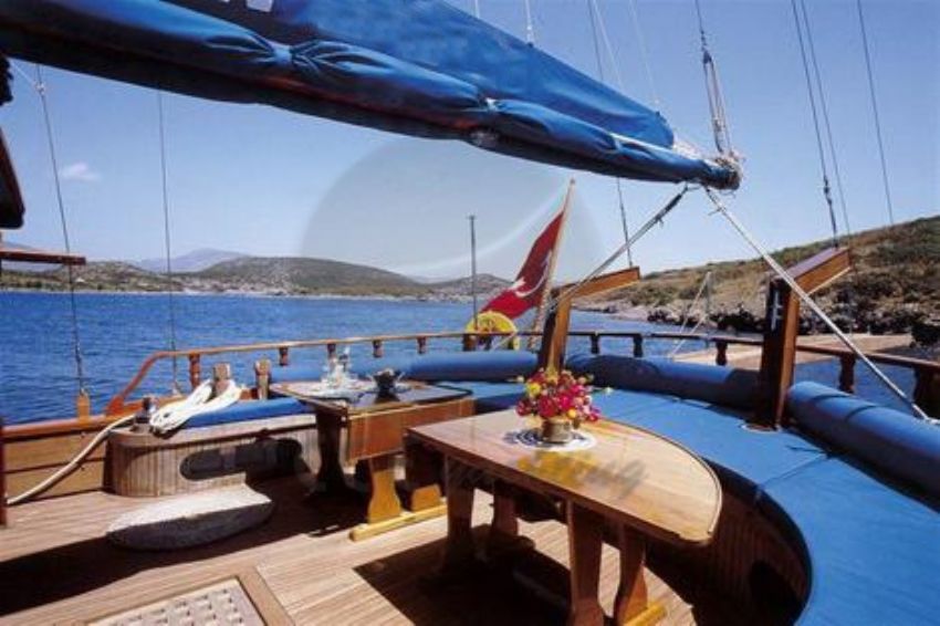 Xenos 2 Güneşlenme Alanı