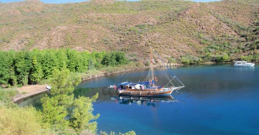 Yeliz 2, Dream Cruise.