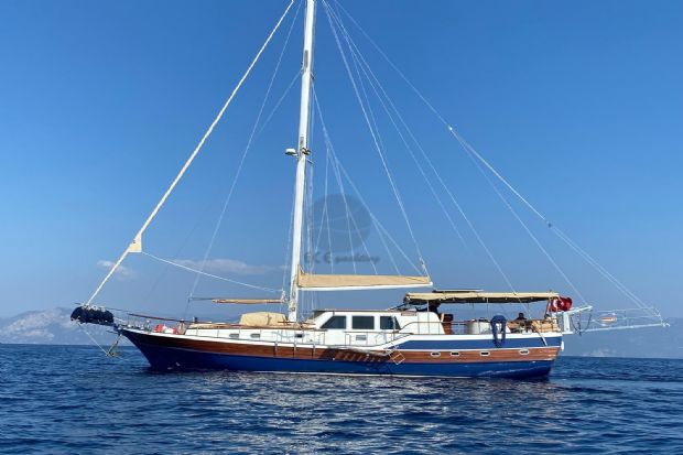 ARMONICA