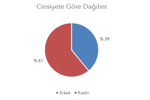 mavi yolculukda cinsiyete göre dağılım